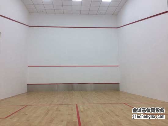 壁球場館